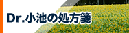 Dr.小池の処方箋